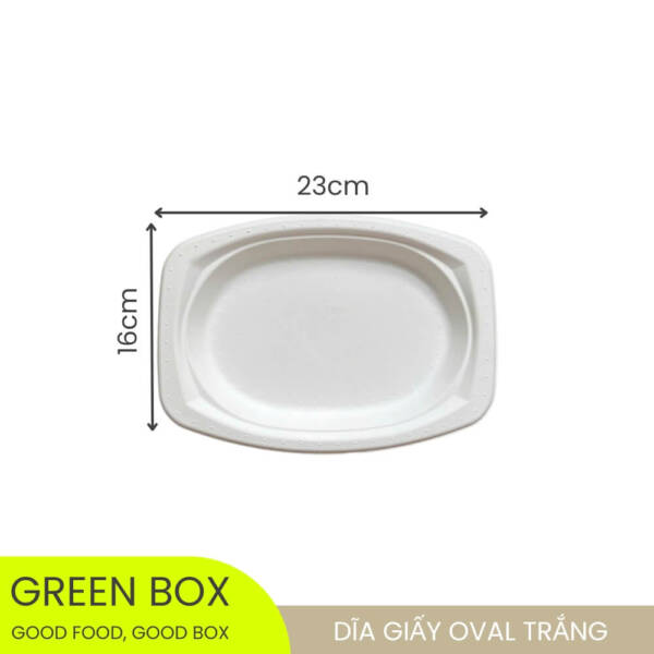 Dĩa Giấy Oval Trắng - Image 2