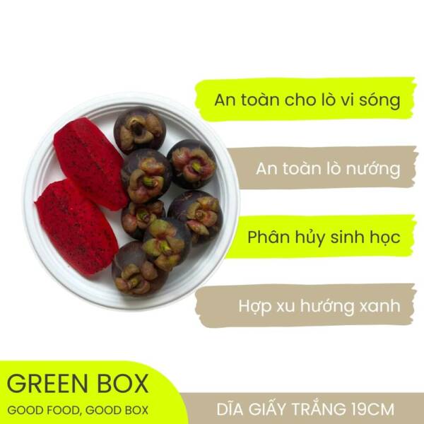 Dĩa Giấy Trắng 19cm - Image 5