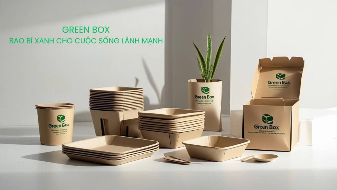 🥗 Khay Giấy và Xu Hướng Tiêu Dùng Bền Vững Tại Việt Nam