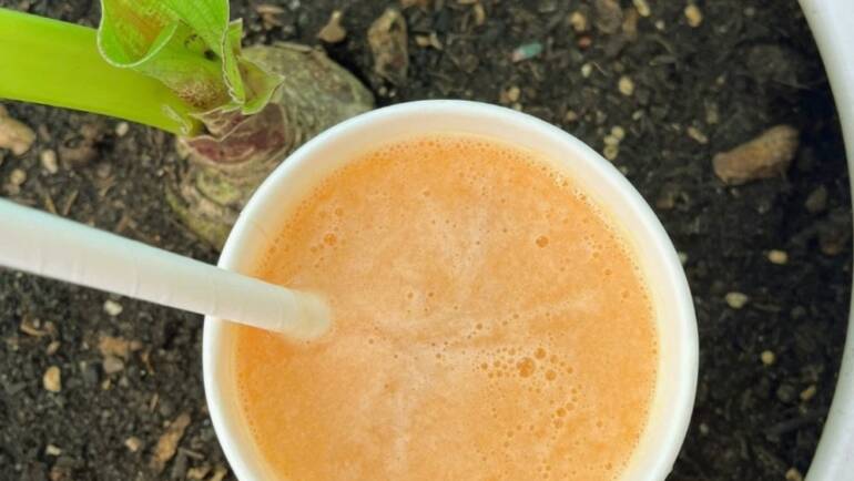 Ly giấy 4oz và 6oz – Lựa chọn tối ưu cho công ty, ngân hàng trong xu hướng xanh 🌱