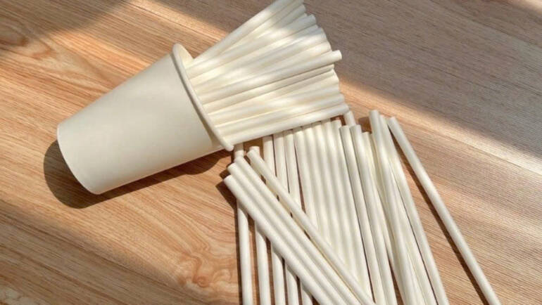 So sánh ly giấy và ly nhựa – đâu là lựa chọn đúng cho quán cà phê hiện đại? ☕🌱