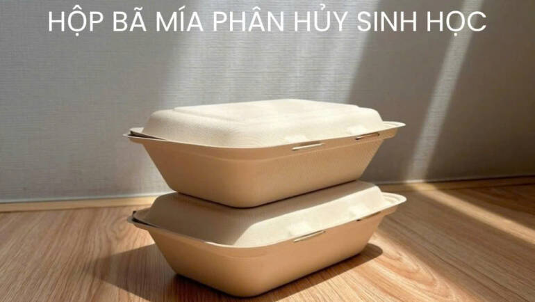 Vì sao nhà hàng – khách sạn cao cấp đang chuyển sang dùng hộp bã mía phân hủy sinh học?