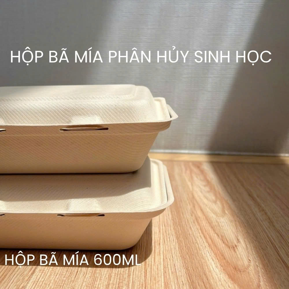 7 tiêu chí chọn bao bì bã mía cho sự kiện sang trọng