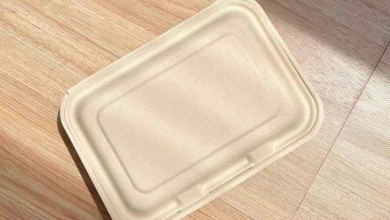 Bao bì bã mía và tác động tích cực đến môi trường biển