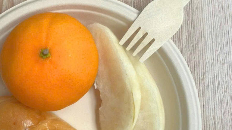 Dĩa bã mía đựng trái cây, bánh ngọt, xôi có tốt không?