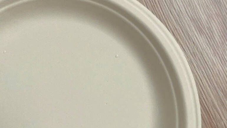 Dĩa bã mía dùng cho siêu thị & food court: Tiện lợi và an toàn