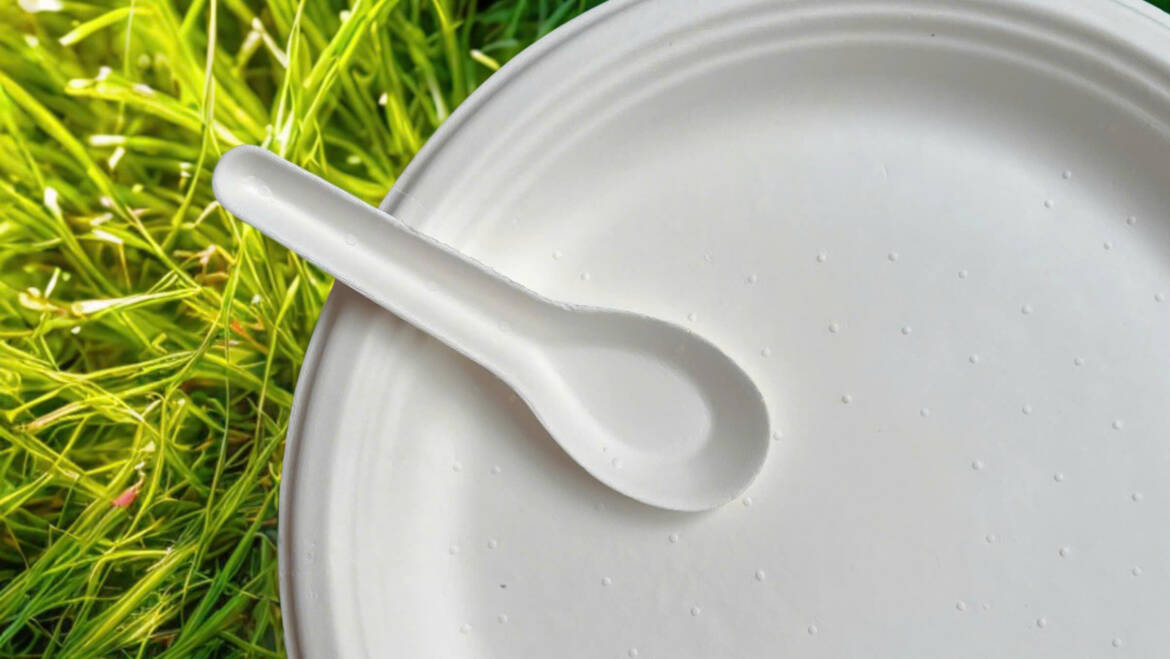 So sánh dĩa bã mía trắng và nâu: Nên chọn loại nào?