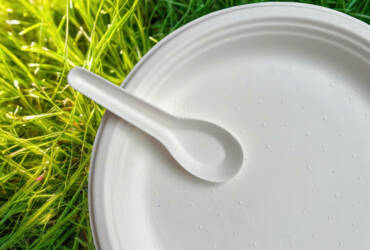 So sánh dĩa bã mía trắng và nâu: Nên chọn loại nào?