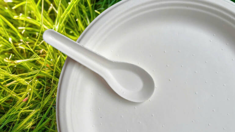 So sánh dĩa bã mía trắng và nâu: Nên chọn loại nào?