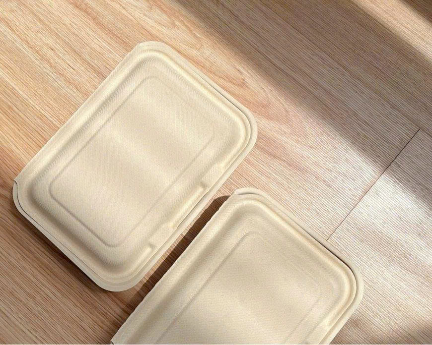 Bao bì tối giản: Vì sao hộp bã mía trơn lại giúp nâng tầm thương hiệu?